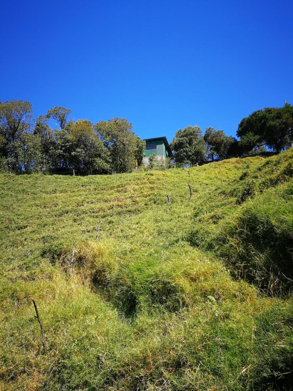 Monteverde Monte Green Екстериор снимка